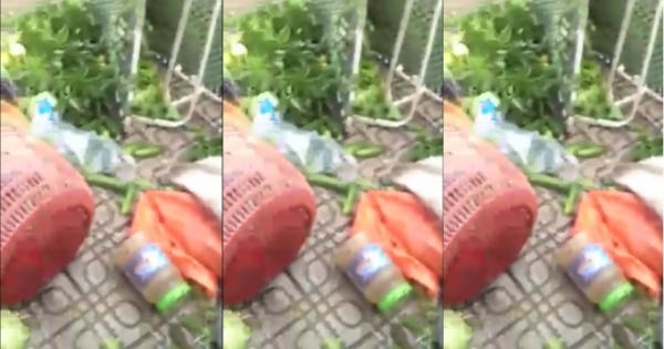 Bức xúc trước hành động chủ nhà đập phá hàng của người phụ nữ bán rau