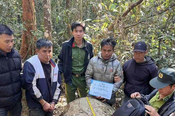 Phát hiện nhóm khai thác gỗ dổi trái phép tại khu vực thủy điện Đồng Nai 4