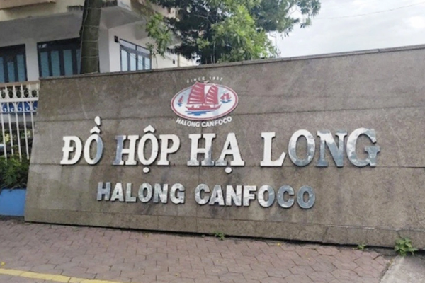 Sở NN&MT Hải Phòng báo cáo chi tiết vụ việc liên quan Công ty CP Đồ hộp Hạ Long Sở NN&MT Hải Phòng báo cáo chi tiết vụ việc liên quan Công ty CP Đồ hộp Hạ Long