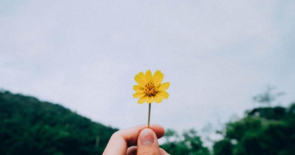 Hạnh phúc giản đơn