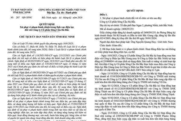 Công ty cổ phần Sông Cầu Hà Bắc bị phạt 190 triệu đồng vì bán điện trái phép