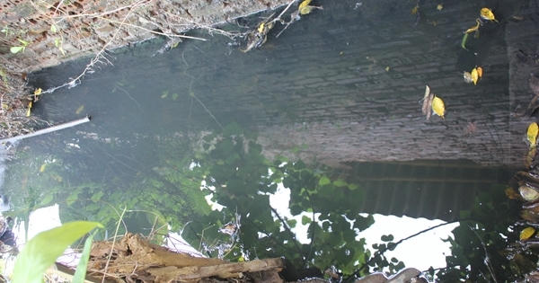 Phú Thọ: Công ty cổ phần Giấy Lửa Việt xả thải ô nhiễm ra môi trường