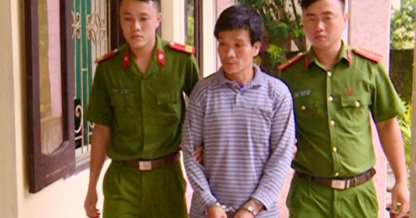 Thanh Hóa: Khởi tố vụ án, bắt giữ nghi phạm chém chết trâu hàng loạt