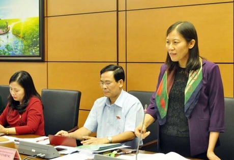 Đề nghị xem lại việc bồi thường cho ông Nén