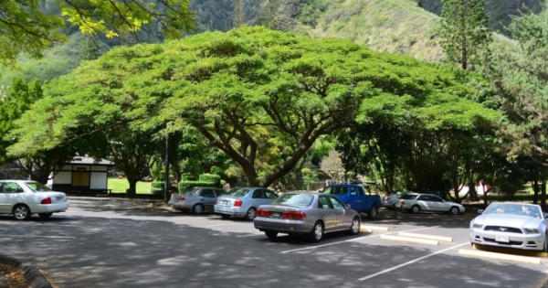 Nắng nóng đỉnh điểm, làm gì để ô tô của bạn không như cái lò thiêu