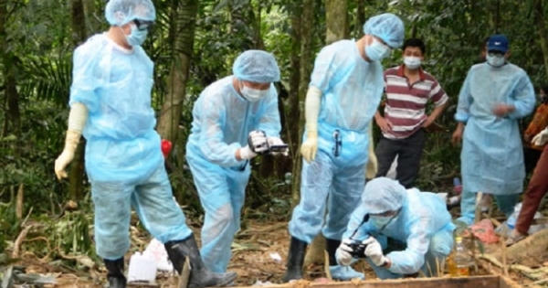 Nâng cao hiệu quả hoạt động giám định tư pháp Nâng cao hiệu quả hoạt động giám định tư pháp