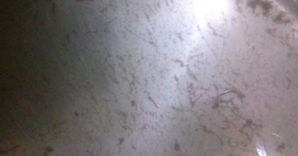 Ninh Bình: “Nước sạch” bị tố có cặn bẩn, giun đỏ và mùi hôi tanh nồng nặc