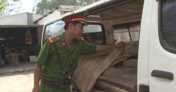 Phát hiện và thu giữ hơn 4 tấn gỗ trắc vận chuyển trái phép tại Bình Dương