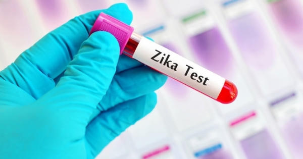 Đã tìm thấy kháng thể chống virus Zika Đã tìm thấy kháng thể chống virus Zika