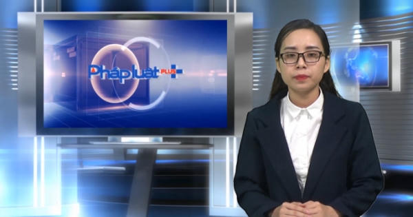 Bản tin Pháp luật: Nguyên thư ký tòa hành hung luật sư - Hành vi rất nguy hiểm