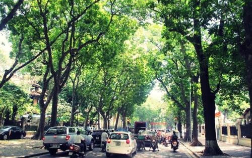 Dự báo thời tiết ngày 14/11: Bão số 13 yếu dần, miền Bắc nắng ấm