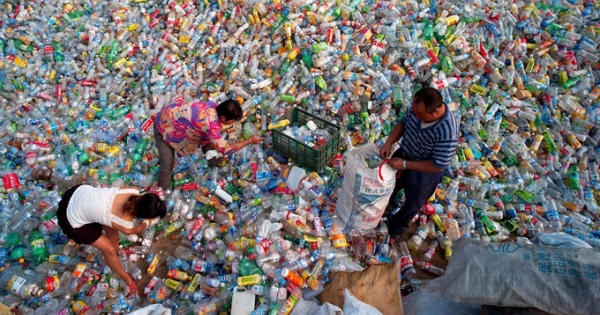 Một quyết định cấm cửa của Trung Quốc, toàn cầu xáo động Một quyết định cấm cửa của Trung Quốc, toàn cầu xáo động
