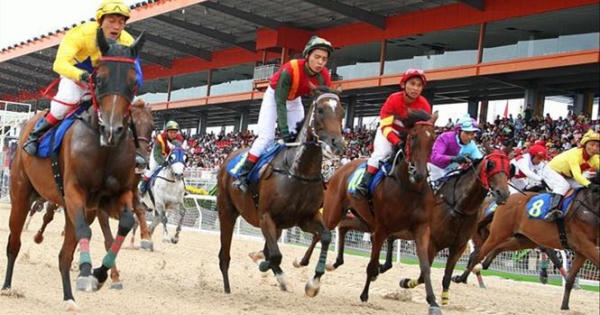 Đặt cược đua ngựa, đua chó: Trưởng phòng đầu tư nước ngoài nói gì? Đặt cược đua ngựa, đua chó: Trưởng phòng đầu tư nước ngoài nói gì?