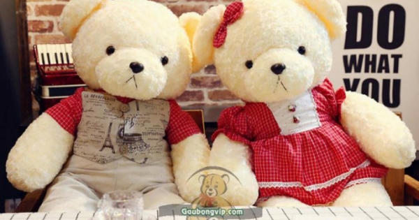 Tôi có thể nhờ pháp luật “giải tán” cuộc hôn nhân đồng giới của con gái?