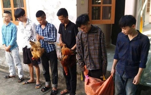 Trộm cả hòm công đức để lấy tiền chơi game