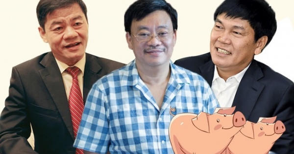 Quay về làm nông, tỷ phú USD Việt Nam mở trại nuôi lợn