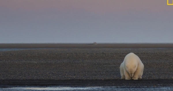Biến đổi khí hậu và những hình ảnh gây sốc