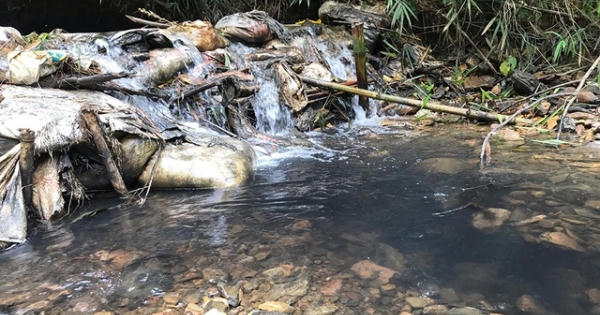 Tổng Giám đốc Viwasupco: Không có độc trong nước sạch sông Đà