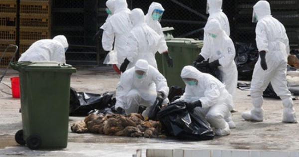 Chủng virus cúm A (H7N9) biến đổi độc lực