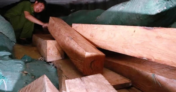Dùng thủ đoạn tinh vi che giấu gỗ quý vẫn không thoát