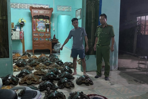 Kịp thời ngăn chặn vụ mua bán 39 cá thể Đồi Mồi ở Tây Ninh