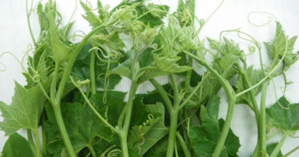 Những loại rau củ chứa nhiều hóa chất