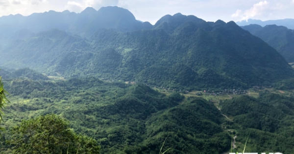 Bí ẩn ‘quái thú’ giết bò hàng loạt trong rừng Pù Luông khiến người Mường khiếp sợ Bí ẩn ‘quái thú’ giết bò hàng loạt trong rừng Pù Luông khiến người Mường khiếp sợ