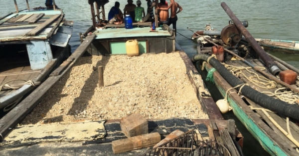 Quảng Nam: Phát hiện 3 tàu không số hiệu hút cát sỏi trộm trên sông Thu Bồn
