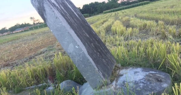 Mộ công chúa Cẩm Vinh bị lãng quên?