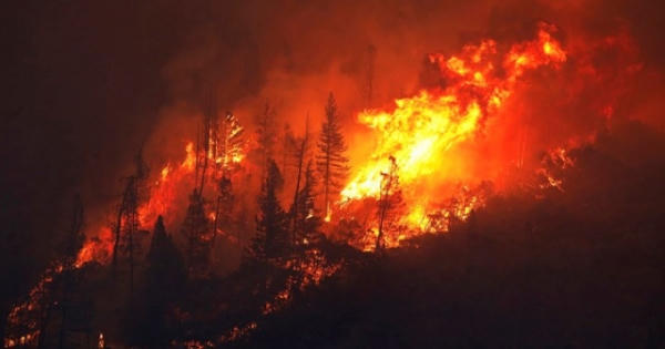 Bình luận về thảm họa cháy rừng, ông Trump khiến dư luận nổi giận