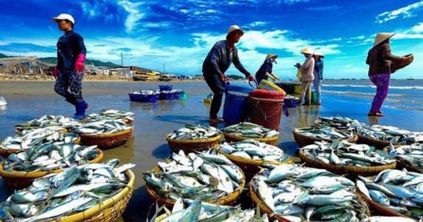 EU trả về 17 lô nông, thuỷ sản của Việt Nam