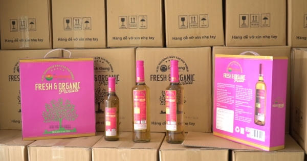 Hơn 10 nghìn chai nước giải khát dấm táo One World - Ích Khang bị tạm giữ