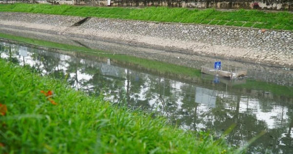 Lâu lắm rồi mới thấy sông Tô Lịch sạch sẽ như vậy!