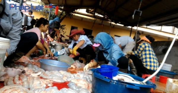 Vụ lò mổ lợn gây ô nhiễm: Trách nhiệm thuộc về ai?