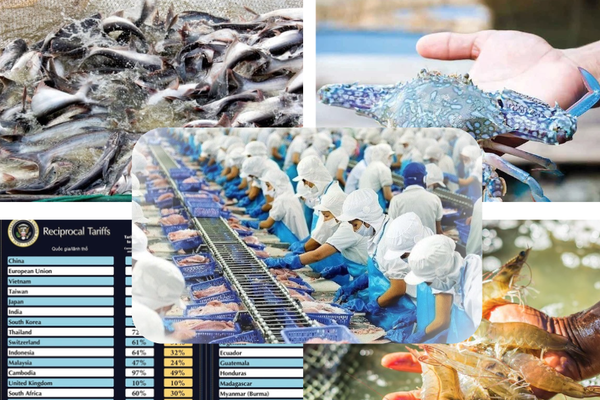 Năm 2025, ngành thủy sản Việt Nam đã ghi dấu ấn với con số kim ngạch ấn tượng