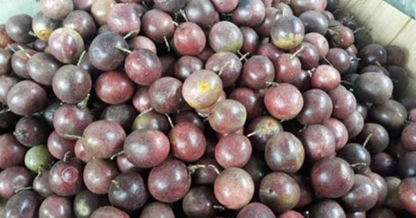 Trung Quốc siết mạnh, khối hàng tỷ USD của Việt Nam đổ dốc