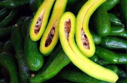 Mở rộng thị trường xuất khẩu nông sản tại Thái Lan