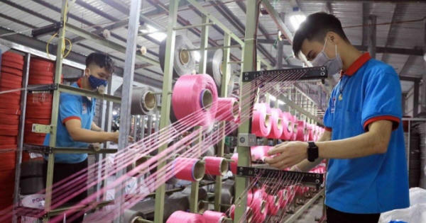 Doanh nghiệp mong muốn chính sách được thực thi Doanh nghiệp mong muốn chính sách được thực thi