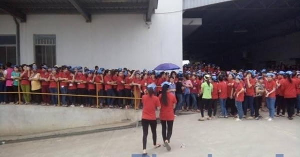 Vụ suất ăn có dòi: Công ty khẳng định việc thay quản lý và bếp trưởng