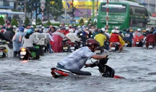Chống ngập ở TP HCM: Chỉ gắn camera thôi, không đủ