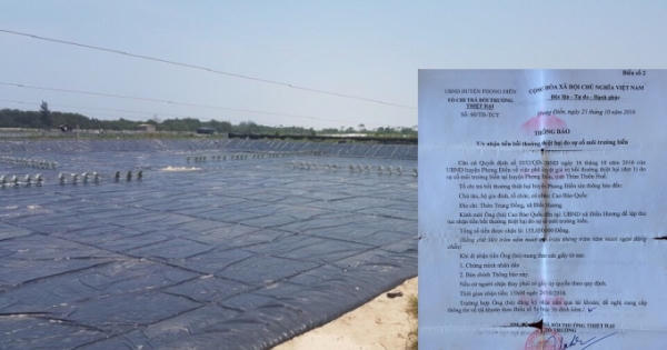 Thừa Thiên Huế: Vẫn còn 135 trường hợp vướng mắc nhận đền bù tiền do sự cố môi trường biển