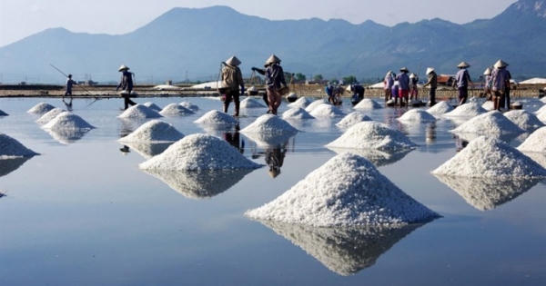 Một tạ muối không mua nổi một kg thịt