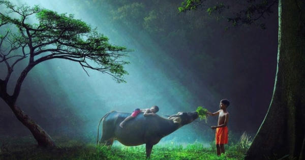 Cho tôi xin một vé đi tuổi thơ!