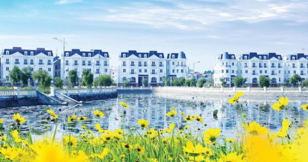 Nhà Từ Liêm (NTL): Quý 1/2019 lãi 36 tỷ đồng tăng 264% so với cùng kỳ