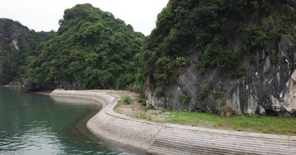 Xâm phạm di sản, biến tướng văn hóa Xâm phạm di sản, biến tướng văn hóa