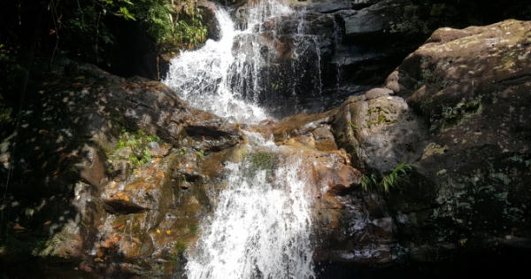 Ngắm vẻ đẹp hoang sơ của thác Mơ - Khe Chè