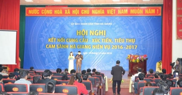 Hà Giang: Tổ chức Hội nghị cung cầu, xúc tiến tiêu thụ cam sành