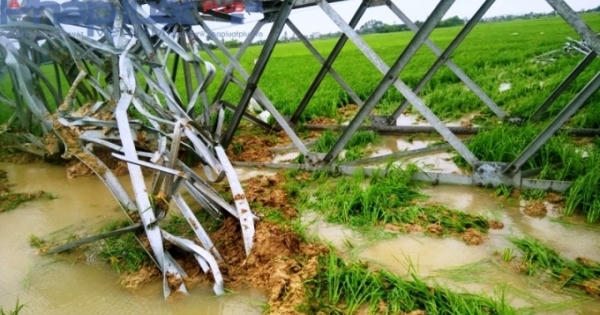 Kiểm tra toàn diện hệ thống đường dây 500Kv đổ sập cột truyền tải