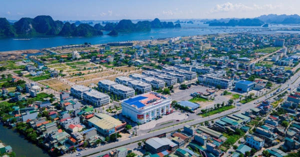 Phát hiện thêm ổ dịch mới tại TP Cẩm Phả
