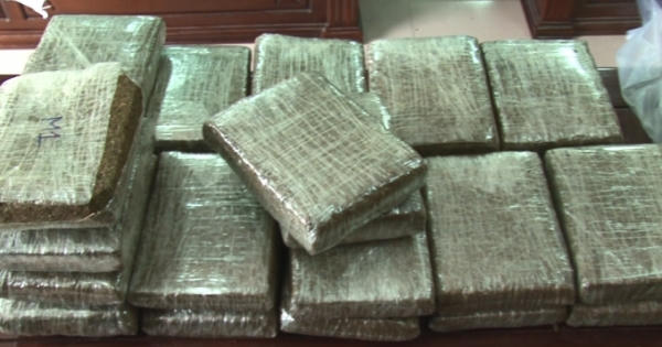 Bắt 2 đối tượng vận chuyển 40 bánh cần sa